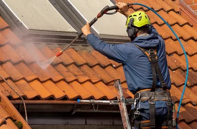 Démoussage et hydrofuge de toiture à Barbâtre